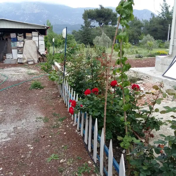 Demirtepe Pansiyon - Photo 8