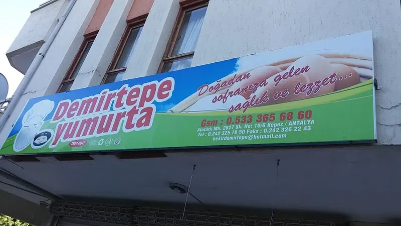 Demirtepe Yumurta - Photo 8