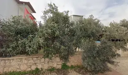 Demre Kazı Evi
