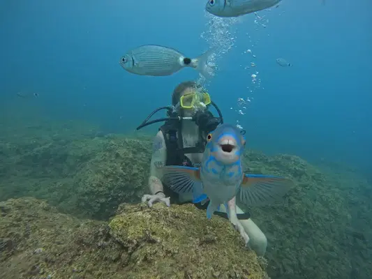 Deniz Feneri Diving Center | CMAS TSSF PADI