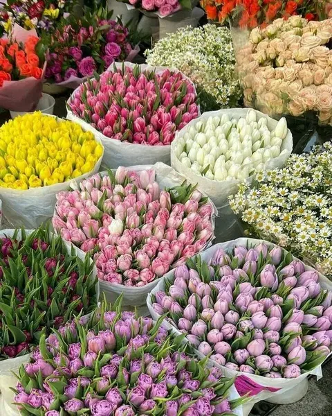 Deni̇z Flowers - Photo 6