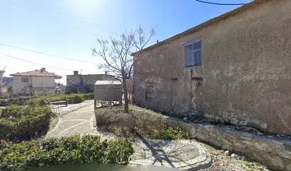 Deni̇z Gezmi̇ş Parki - Photo 1
