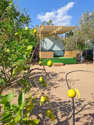 Denizdibi Camping
