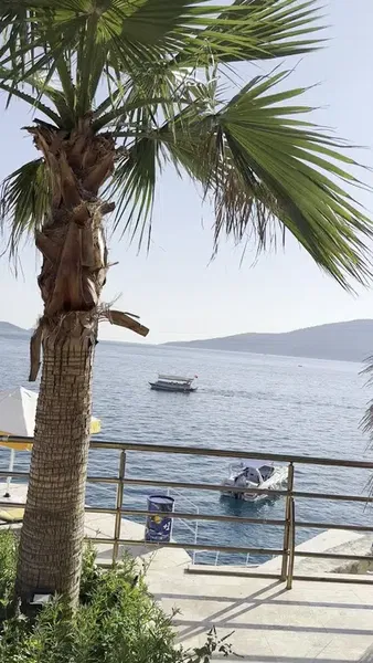 Denizim Beach Club - Photo 8