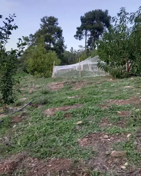 Deniz'in Köyü - Photo 6