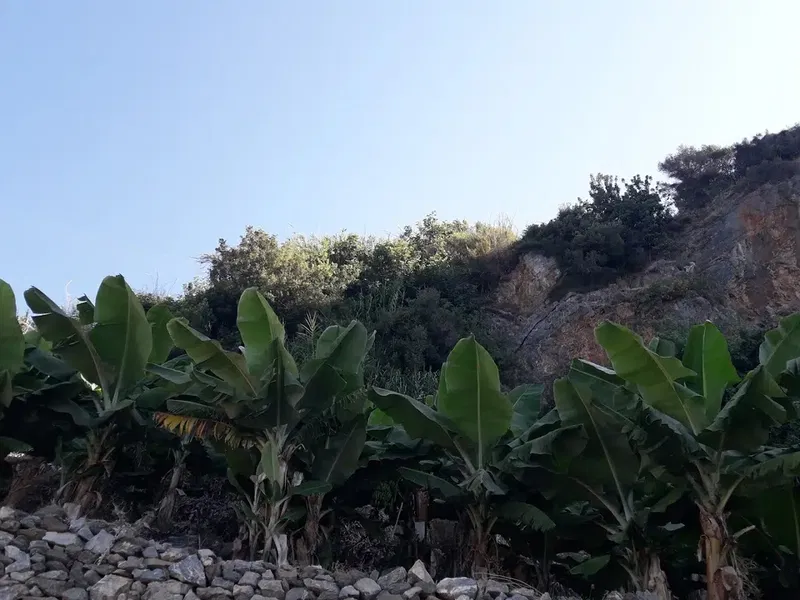 Denizyüzü Kızılkaya - Photo 5