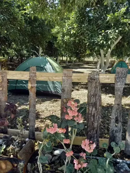 Dere Camping - Photo 2