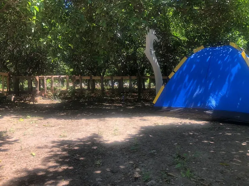 Dere Camping - Photo 5