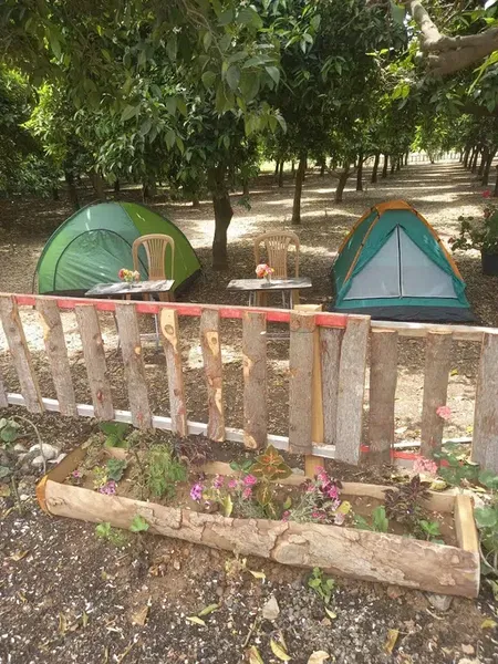 Dere Camping - Photo 10