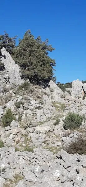 Derebucak Yol Yardım - Araç kurtarma & Çekici Hizmetleri - Photo 3