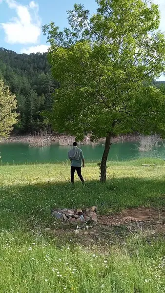 Derebucak Çamlık Mağaraları Tabiat Anıtı - Photo 2