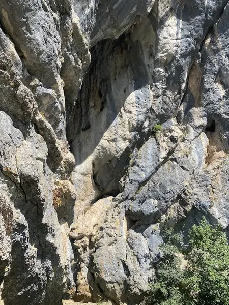 Derebucak Çamlık Mağaraları Tabiat Anıtı - Photo 10