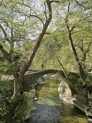 Dereköy Tarihi Taşköprü