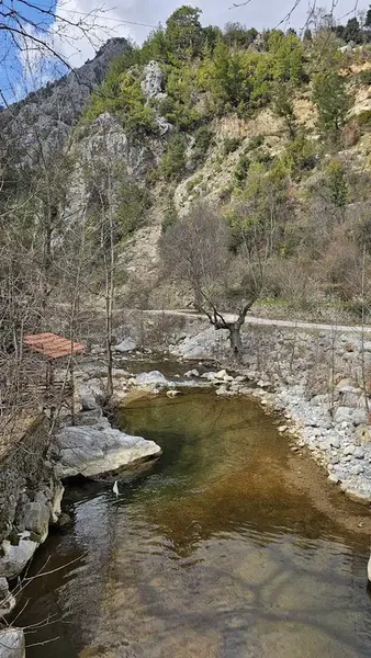 Dereköy Tarihi Taşköprü - Photo 4
