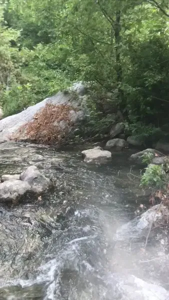Dereköy Tarihi Taşköprü - Photo 7