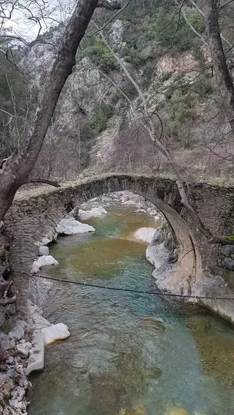 Dereköy Tarihi Taşköprü - Photo 8