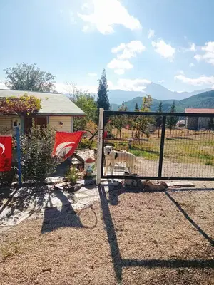 Dergâh