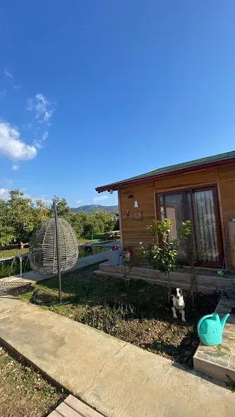 Derin Bahçe - Photo 5