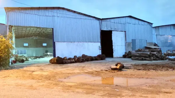 Detay Epoksi ve Ahşap Ürünleri
