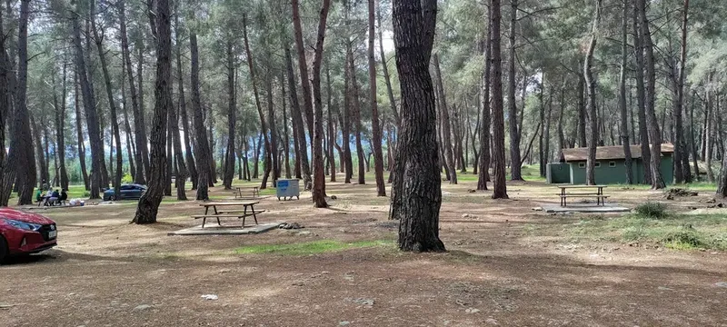 Devlet Büyükleri Hatıra Ormanı - Photo 3