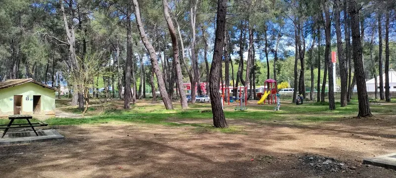 Devlet Büyükleri Hatıra Ormanı - Photo 4