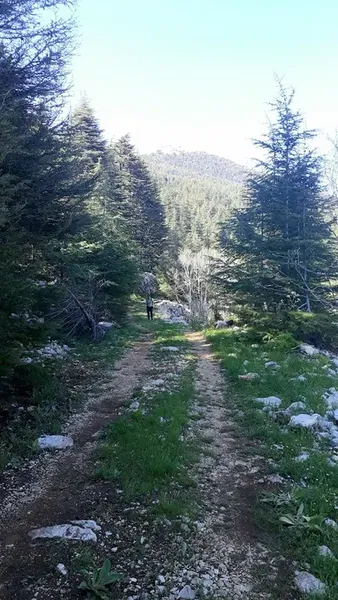 Dibek National Park - Photo 1