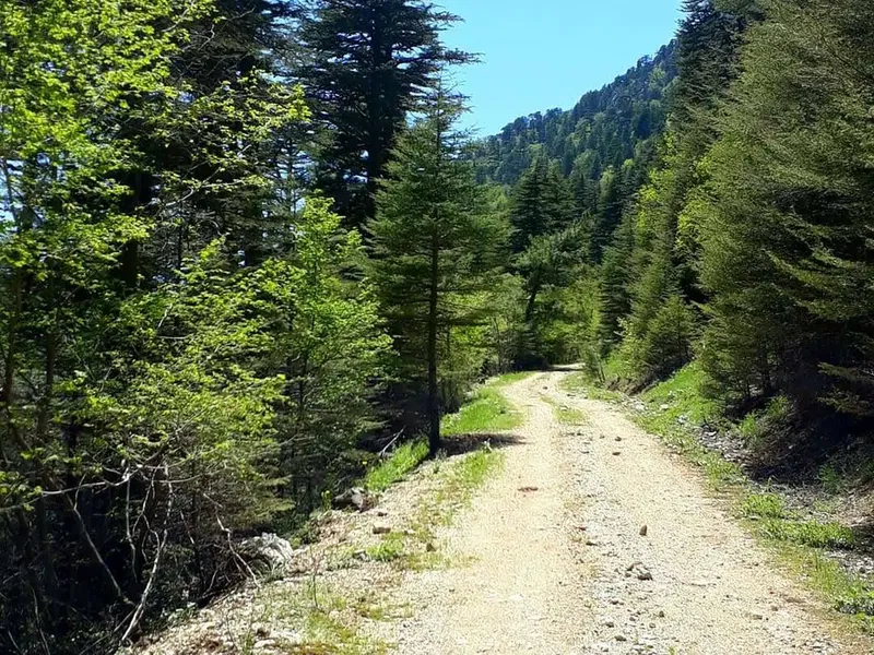 Dibek National Park - Photo 3