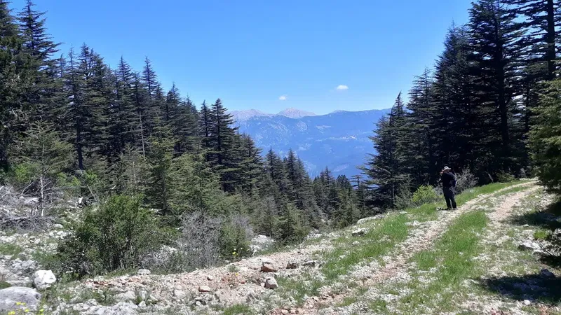 Dibek National Park - Photo 4