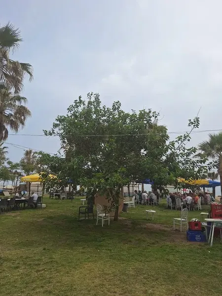 Dido Beach - Photo 10