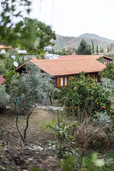 Dilek Holiday House Cirali - Photo 6