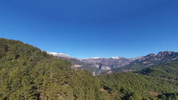 Dimçayı İlkokulu Ortaokulu