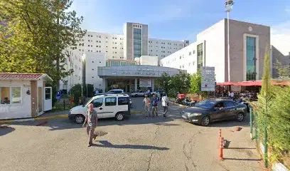 Dinçer Lojistik Antalya
