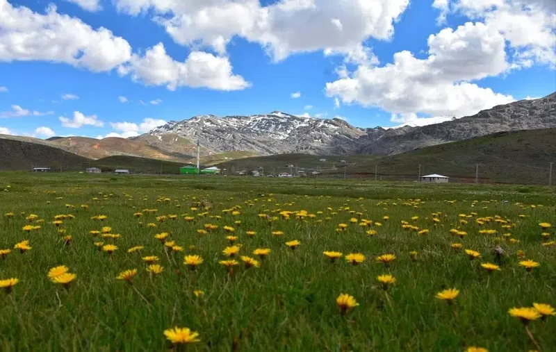 Dipsiz göl - Photo 7