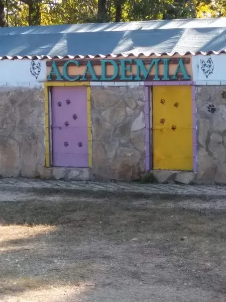Dogacademia - Photo 9