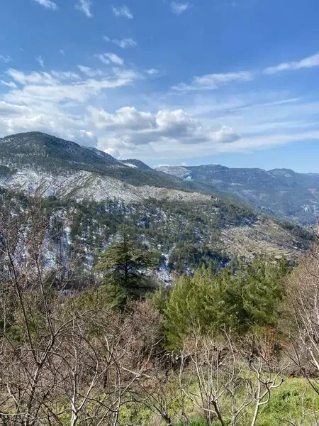 Doktorun Çi̇ftli̇ği̇ Gazi̇paşa - Photo 5
