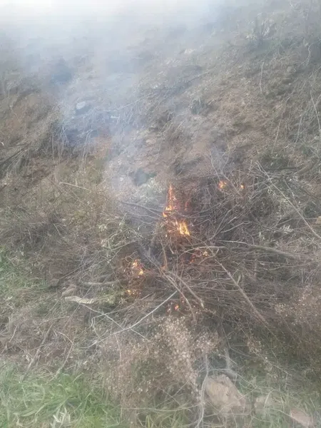 Doktorun Çi̇ftli̇ği̇ Gazi̇paşa - Photo 9