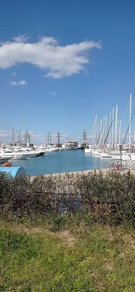 Dolca Vita Yacht - Photo 3