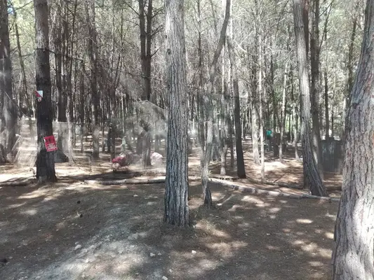 DOSAM Paintball