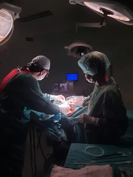Doç. Dr. Aydemir Koçarslan - Photo 4