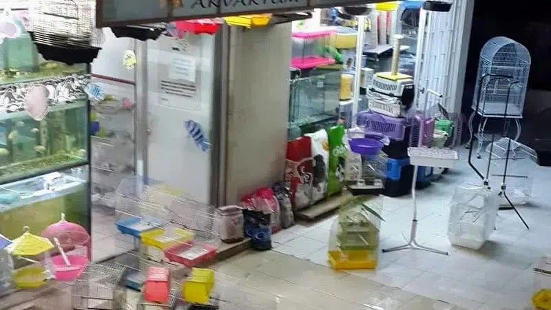 Doğa Petshop - Photo 2