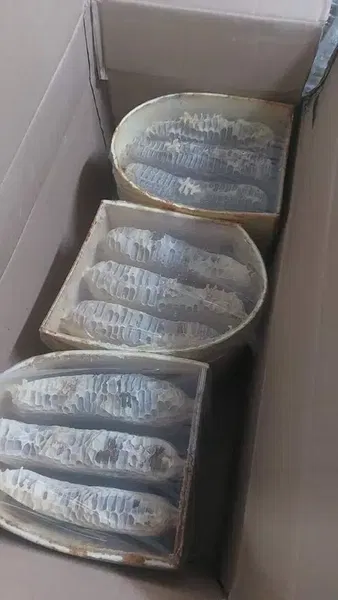 Doğal Köy Ürünleri - Photo 2