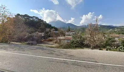Doğan Orman Ürünleri