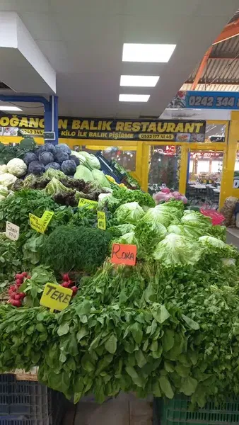 Doğancan Balık Kepez - Photo 9
