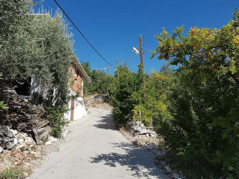 Doğantaş Köyü Cami - Photo 5