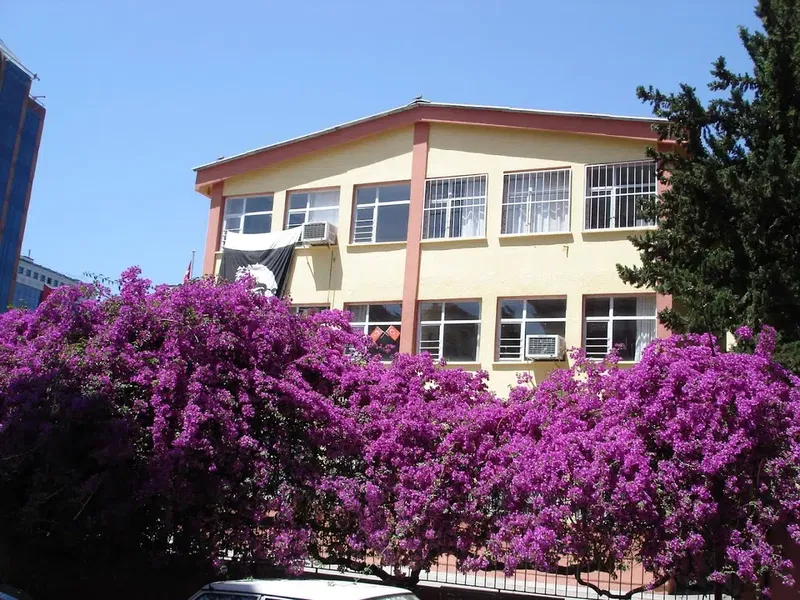 Dr. İlhami Tankut - Photo 2
