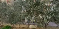 Durgut Auto Garaj - Photo 8