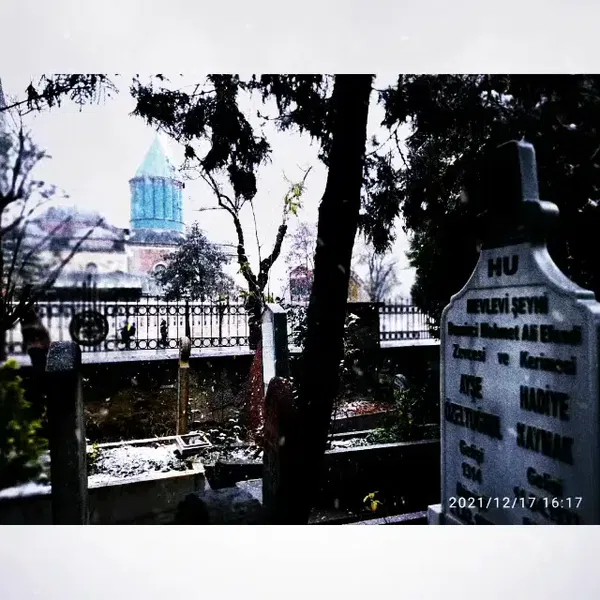 Dutlukırı koruluğu - Photo 2