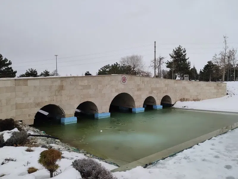 Dutlukırı koruluğu - Photo 5