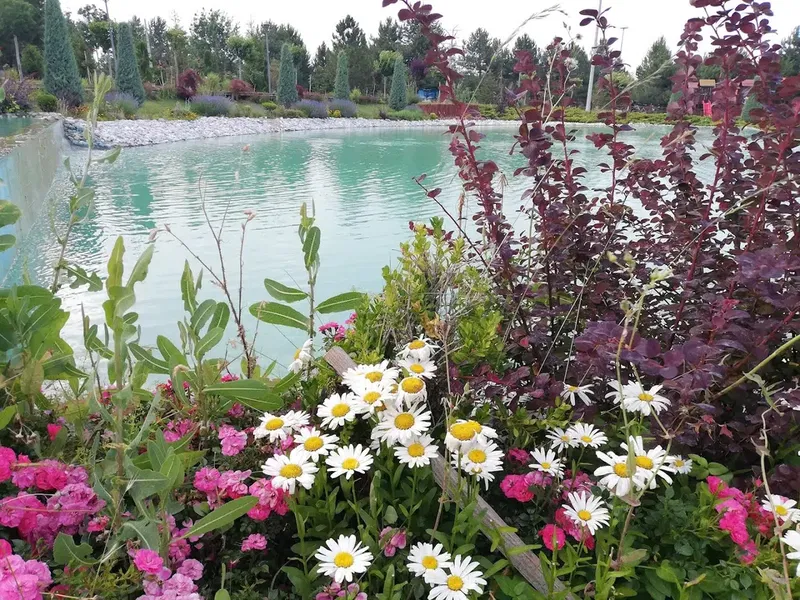 Dutlukırı koruluğu - Photo 9