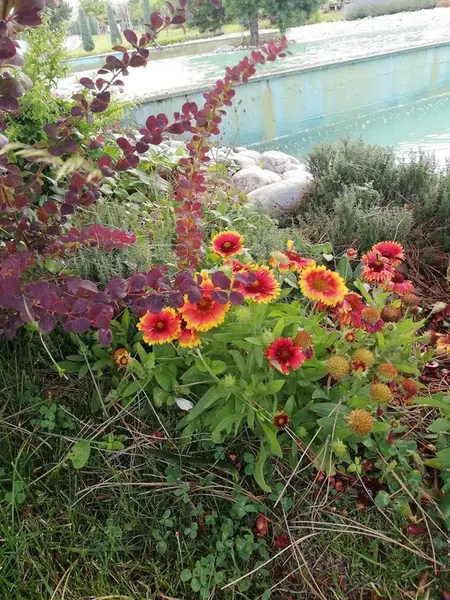 Dutlukırı koruluğu - Photo 10